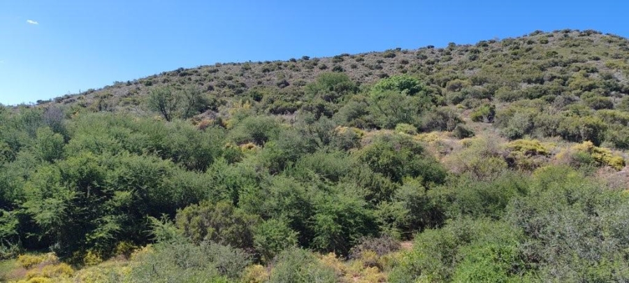 0 Bedroom Property for Sale in Oudtshoorn Rural Western Cape